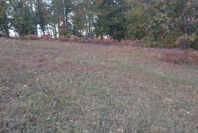 Spațiu comercial, în Ineu - 2