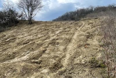 Teren de 1525 mp, în Jelna - 7