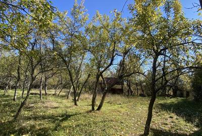 Casa+teren 2713 mp in loc. Babana, jud. Arges. Comision 0% - 6