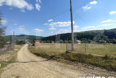 Casă cu 6 camere cu Teren 5000 Mp în Rădăuți - 8