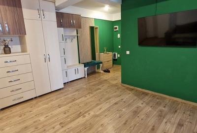 Apartament cu 2 camere semidecomandat în Bucium - 5