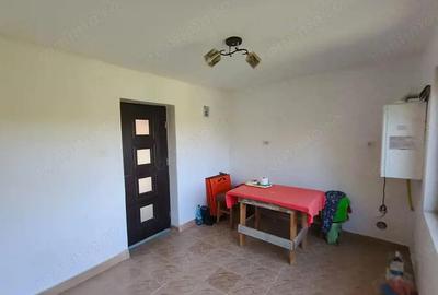 Casa P+M la gri de vanzare Rasova, comuna Bale?ti - 12