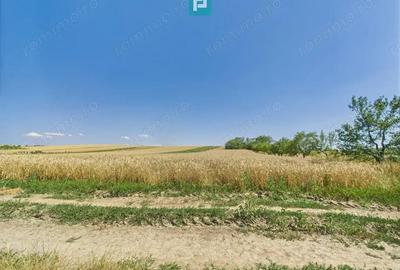 Teren intravilan + extravilan in Remetea Mica - 7