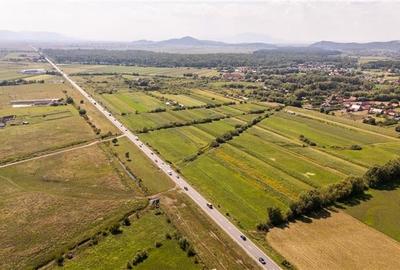 Teren extravilan Lunca Calnicului langa E574 - 12