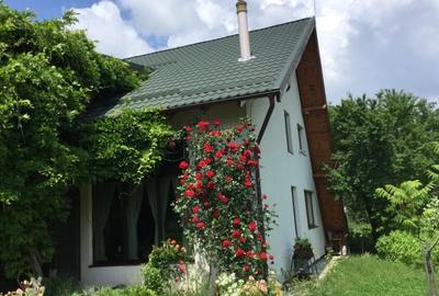 Vila de poveste 5 camere zona Bolintin Vale, judetul Giurgiu - 12