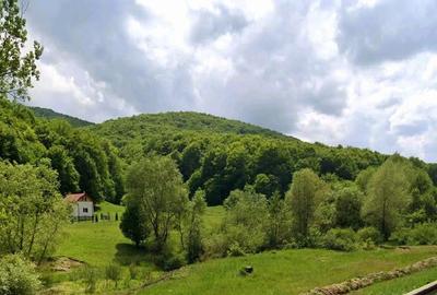 Teren de 965 mp, în Măieruș - 1