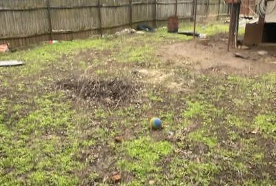 Casă cu 2 camere cu Teren 270 Mp în Băleni - 1