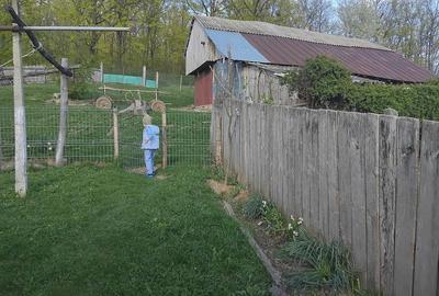 Casă cu Teren 6000 Mp în Poiana - 1