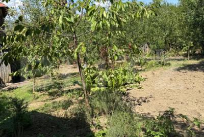 Casă cu 4 camere cu Teren 1053 Mp în Central - 12