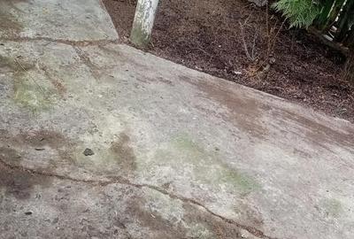 Casă cu 5 camere cu Teren 2200 Mp în Zăvoaia