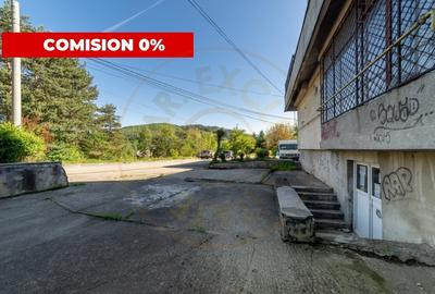 Inchiriere spatiu de depozitare 247 mp, curte 158 mp, Campulung, AG - 2