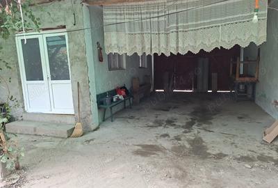 Casă cu 4 camere în Jena - 7