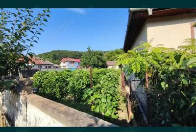 Casă cu 2 camere cu Teren 3623 Mp în Țicleni - 5