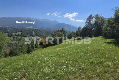 Teren intravilan Bran Podul Simonului - 11