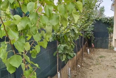 Apartament cu 2 camere decomandat în Sisești - 2