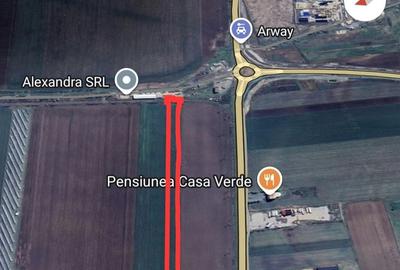 Teren de 10000 mp, în Vladimirescu - 1