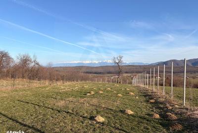 Teren de 809 mp, în Poplaca - 3