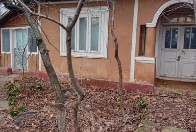 De inchiriat casa - 2