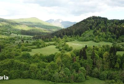 Teren de 4000 mp, în Babarunca - 6