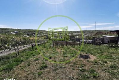 Casă cu 2 camere în Sântandrei - 1