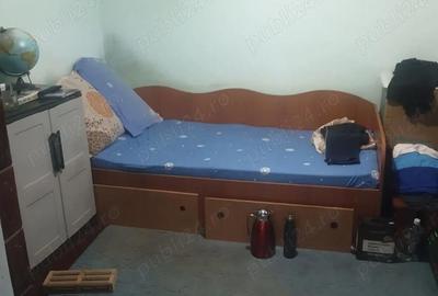 Casă cu 3 camere cu Teren 90 Mp în Tei