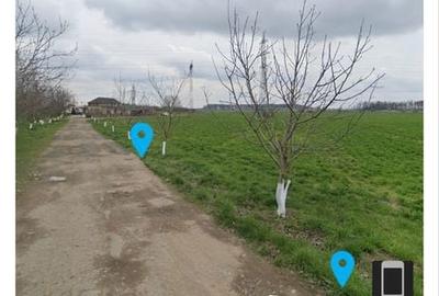 Spațiu comercial, în Jilava - 3