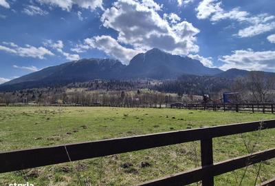 Spațiu comercial, în Plaiul Foii - 7