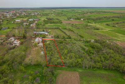 LETCA NOUA, TEREN CONSTRUCTII 1184 MP, FRONT 21 M ! - 7