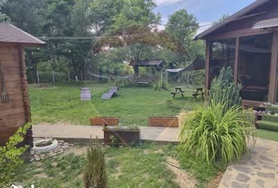 Casă cu 3 camere cu Teren 1268 Mp în Săpânța - 1