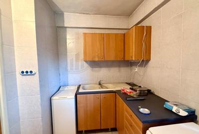 Apartament cu 3 camere decomandat în Banu Manta - 9