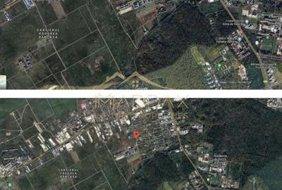 Teren Intravilan ***27,580mp*** // Pădurea Băneasa - 11