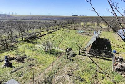 Casă cu Teren 6308 Mp în Smârdan - 9