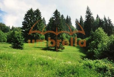 Teren Construcții intravilan de 34201 mp, în Vărșag - 14