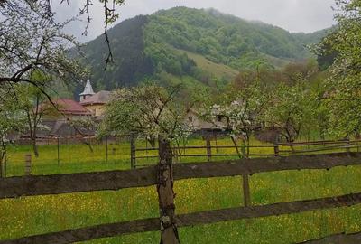 Casa traditionala Rau Sadului (Sibiu) - 5