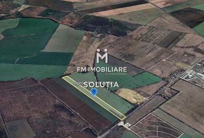 Teren de 40000 mp, în Crevedia - 3