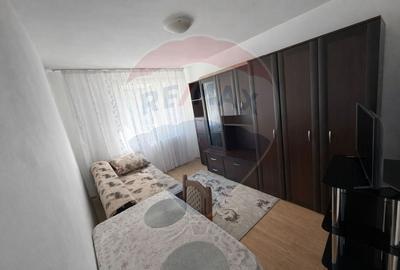 Apartament cu 2 camere decomandat, mobilat în Cetate - 2