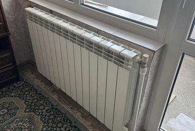 Apartament cu 3 camere decomandat în Sârbi - 4