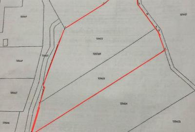 Teren intravilan de 8.000 mp - Oportunitate strategică lângă centura - 2