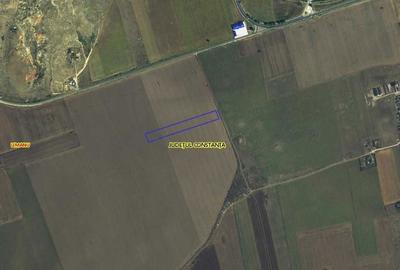 Spațiu comercial, în Limanu - 6