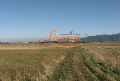 Teren Construcții intravilan de 240000 mp, în Exterior Est - 12