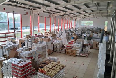 Spațiu comercial, de 1,731 mp, în Aradul Nou - 13