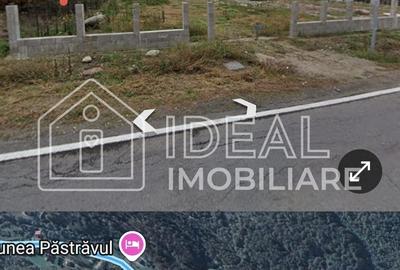 Teren agricol extravilan de 2300 mp, în Cârțișoara - 4