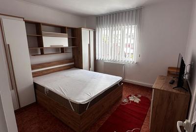 Apartament cu 2 camere DECOMANDAT, etajul 3/4, zona Nicolina, PET FRIENDLY - 3