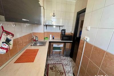 Garsoniera iancului-modern-metrou 5 minute - 3