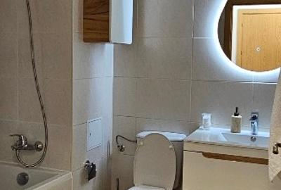 Apartament cu 3 camere decomandat în Andronache - 10