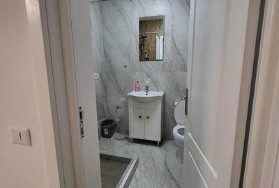 Apartament cu 2 camere decomandat, mobilat în Exterior Est - 6