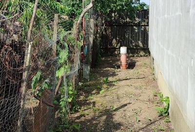 Casă cu 1 camere cu Teren 180 Mp în Dascălu - 3