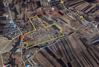 Teren agricol extravilan de 68403 mp, în Popești - 3