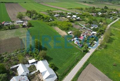 Teren de 5351 mp, în Roșiori - 9