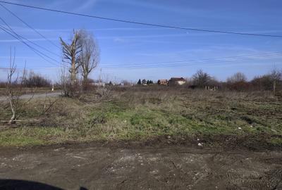 FARA COMISIOANE teren constructii la drum asfaltat 1106 mp merita vazut - 3